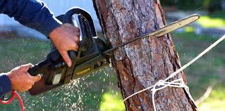 Best Emergency Tree Removal  in Villa Hills, KY