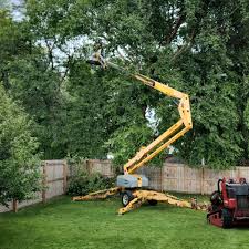 Best Tree and Shrub Care  in Villa Hills, KY