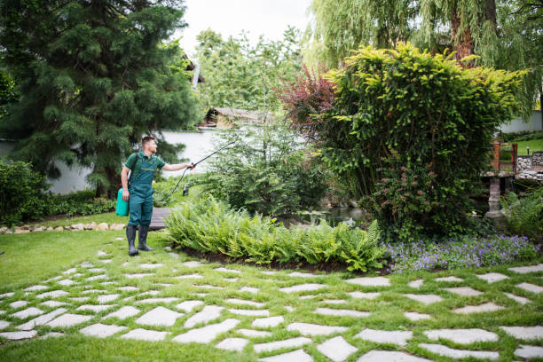 Lawn Renovation and Restoration in Villa Hills, KY